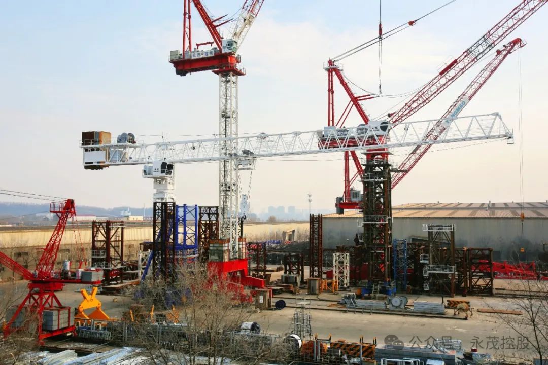 1743038632782626.jpg 3.jpg